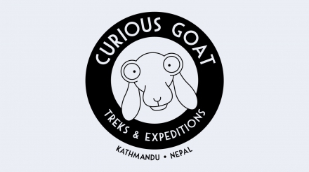 Curious Goat